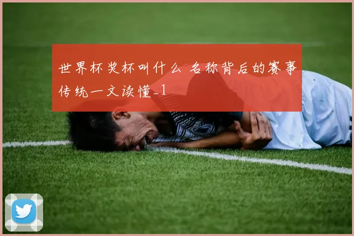 世界杯奖杯叫什么 名称背后的赛事传统一文读懂_1