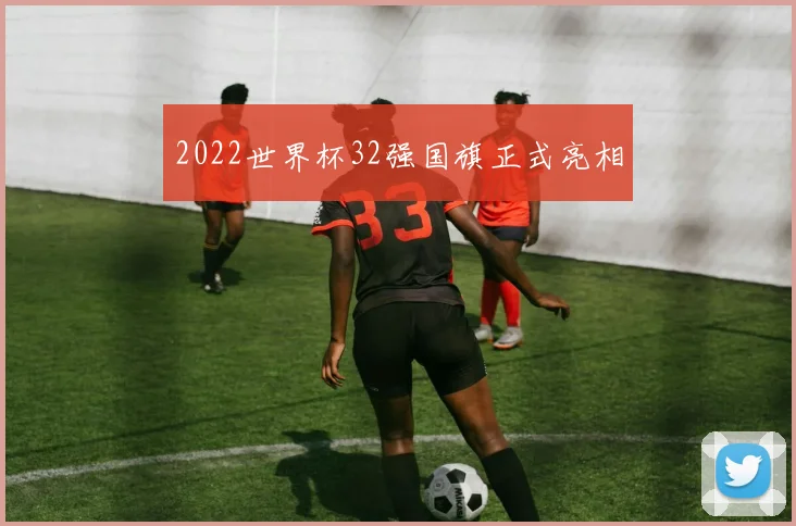2022世界杯32强国旗正式亮相