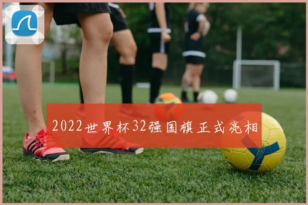 2022世界杯32强国旗正式亮相