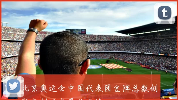 北京奥运会中国代表团金牌总数创新高创历史最佳成绩