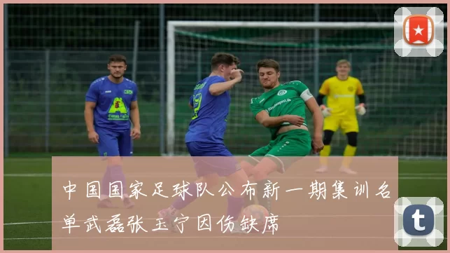 中国国家足球队公布新一期集训名单武磊张玉宁因伤缺席