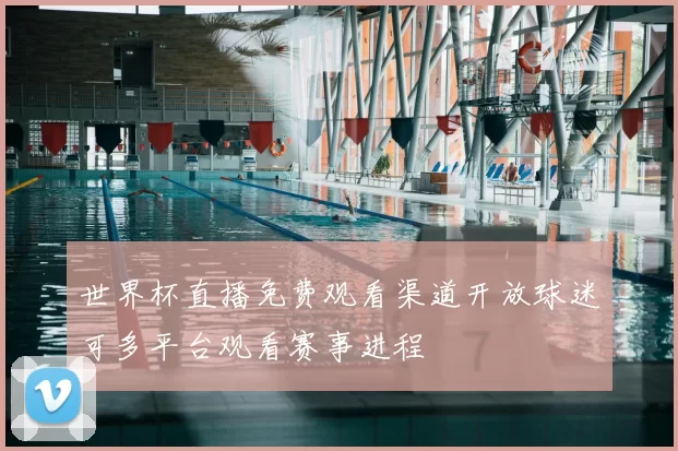 世界杯直播免费观看渠道开放球迷可多平台观看赛事进程