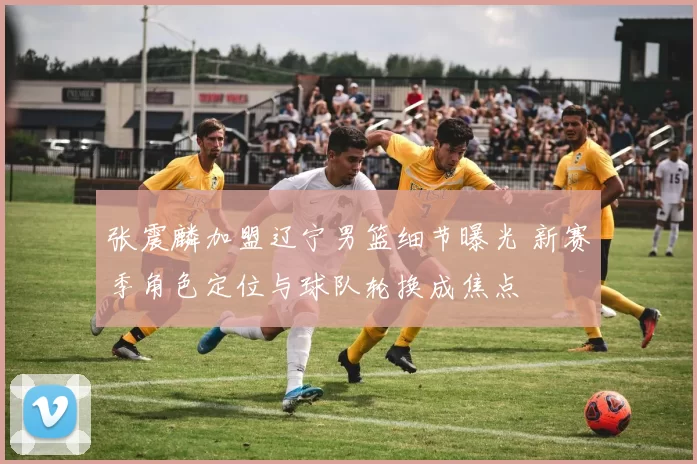 张震麟加盟辽宁男篮细节曝光 新赛季角色定位与球队轮换成焦点