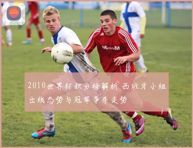 2010世界杯积分榜解析 西班牙小组出线态势与冠军争夺走势